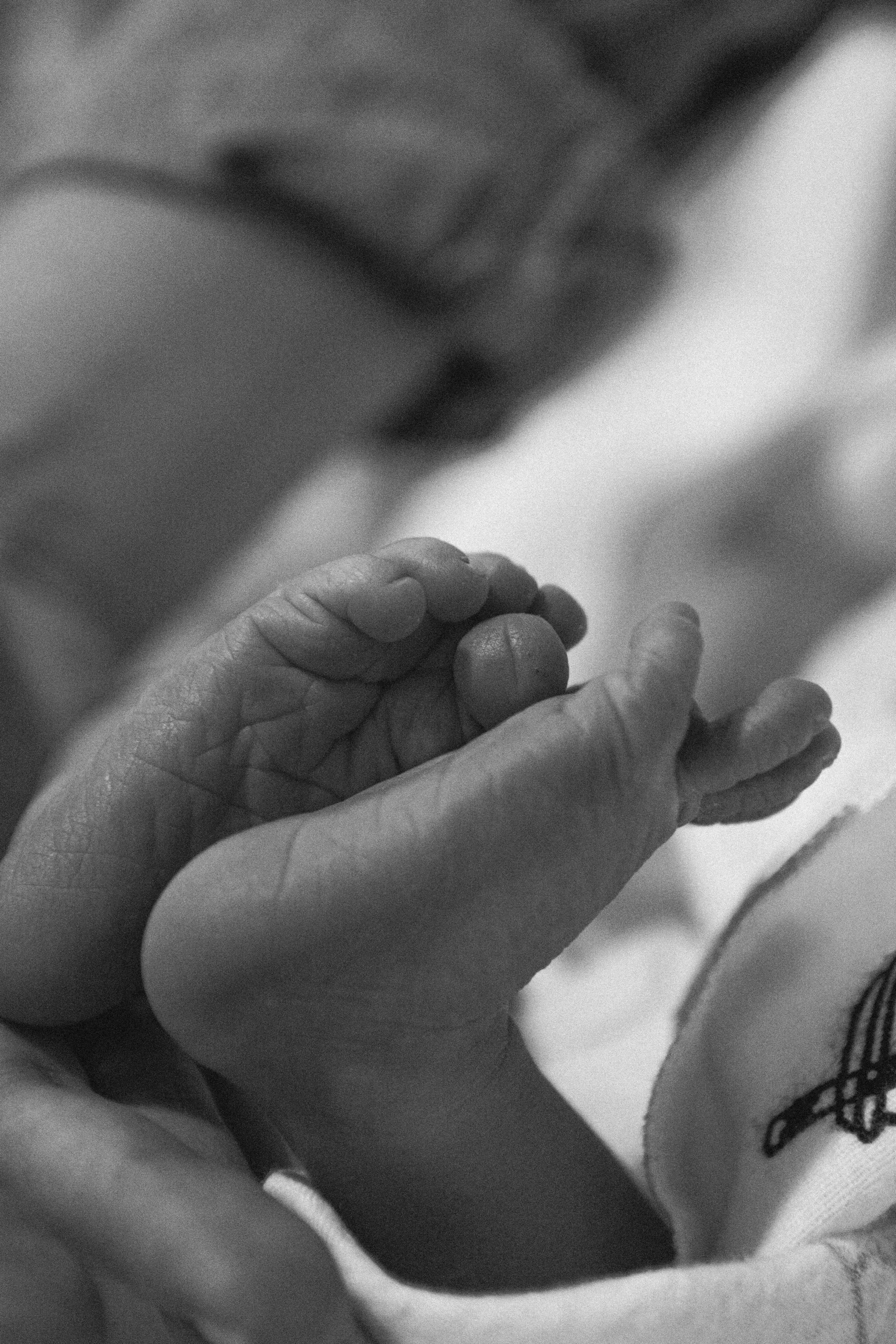 black and white image of a mother holding her premature baby's feet
