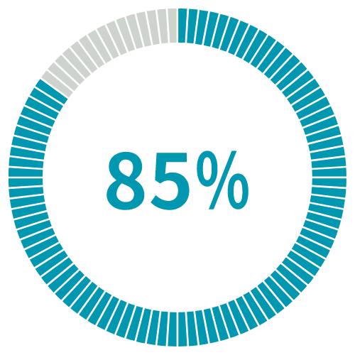 Trustack MSP Cyber Security, IT Services, IT Support. A circular progress chart by Netskope shows 85% completion with blue and gray segments. The inner text reads "85%".