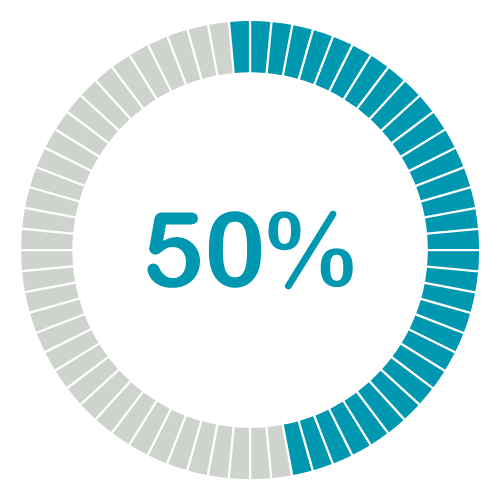 Trustack MSP Cyber Security, IT Services, IT Support. Image of a circular progress chart with 50% completion. The circle, reflecting Netskope's efficient data management, is divided into segments: half in blue representing progress and the other half in grey indicating the remaining portion. The percentage "50%" is displayed prominently in the center.